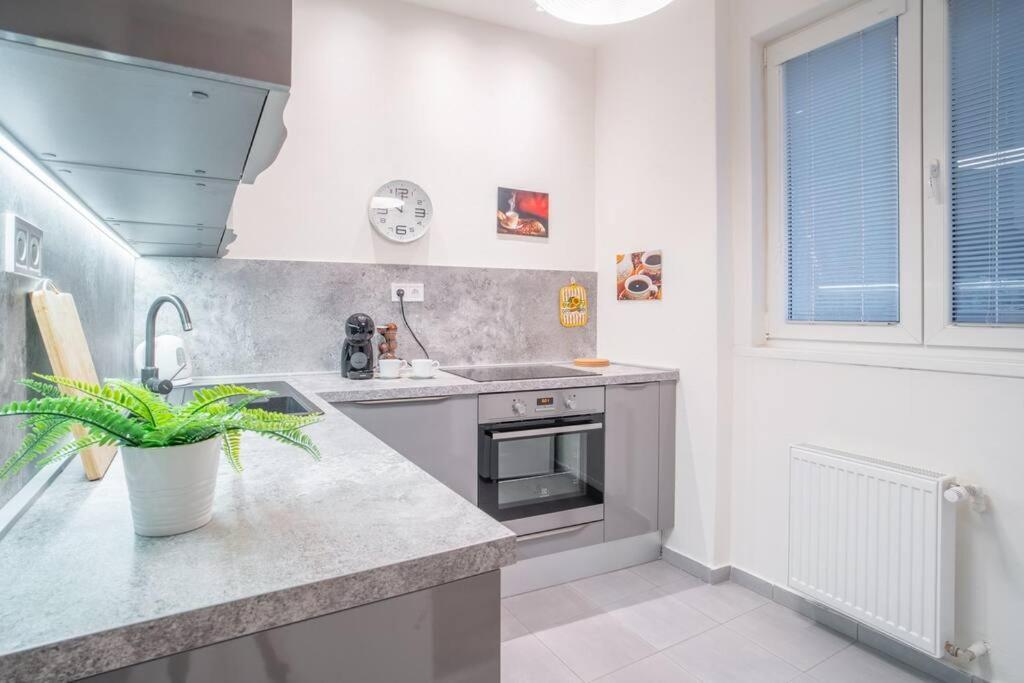 Sukromny Staromestsky Apartman V Uzasnej Lokalite/Cozy Old-Town Apartment In A Great Neighborhood Bratislava Exteriör bild
